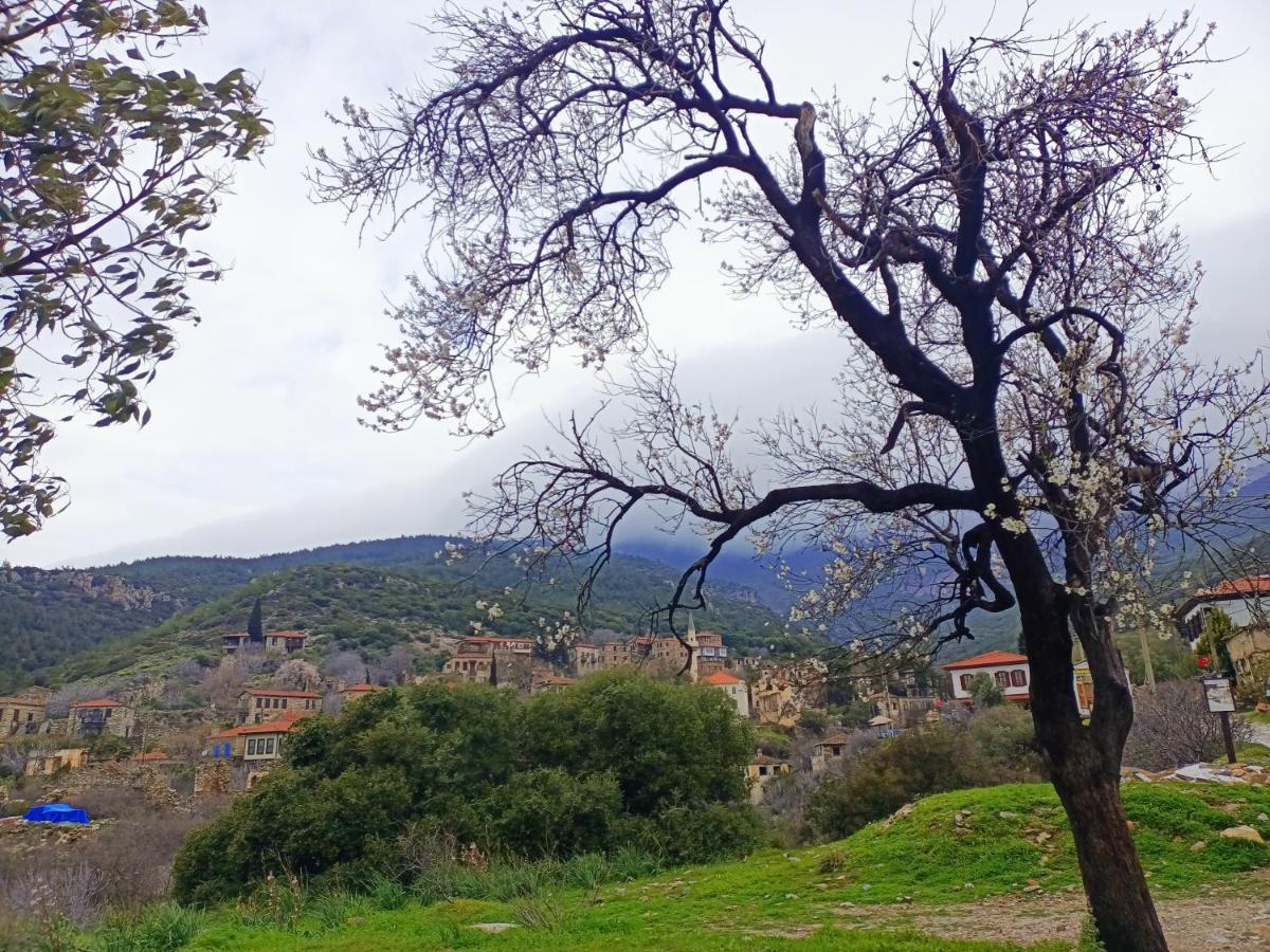 Doğanbey Puli Stone Houses מראה חיצוני תמונה
