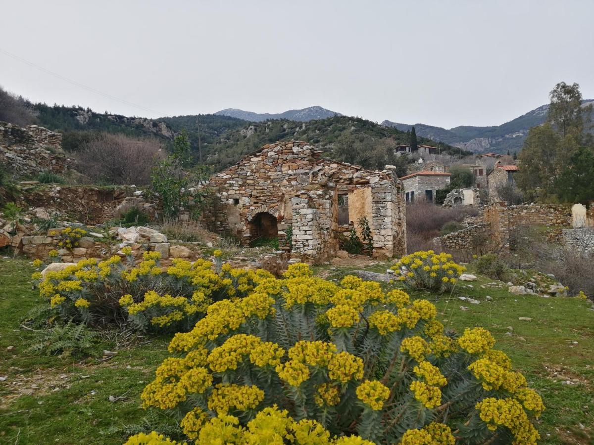 Doğanbey Puli Stone Houses מראה חיצוני תמונה